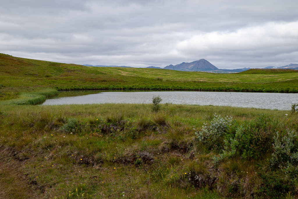 Pentax K-1 / 6 Pentax K-1   6