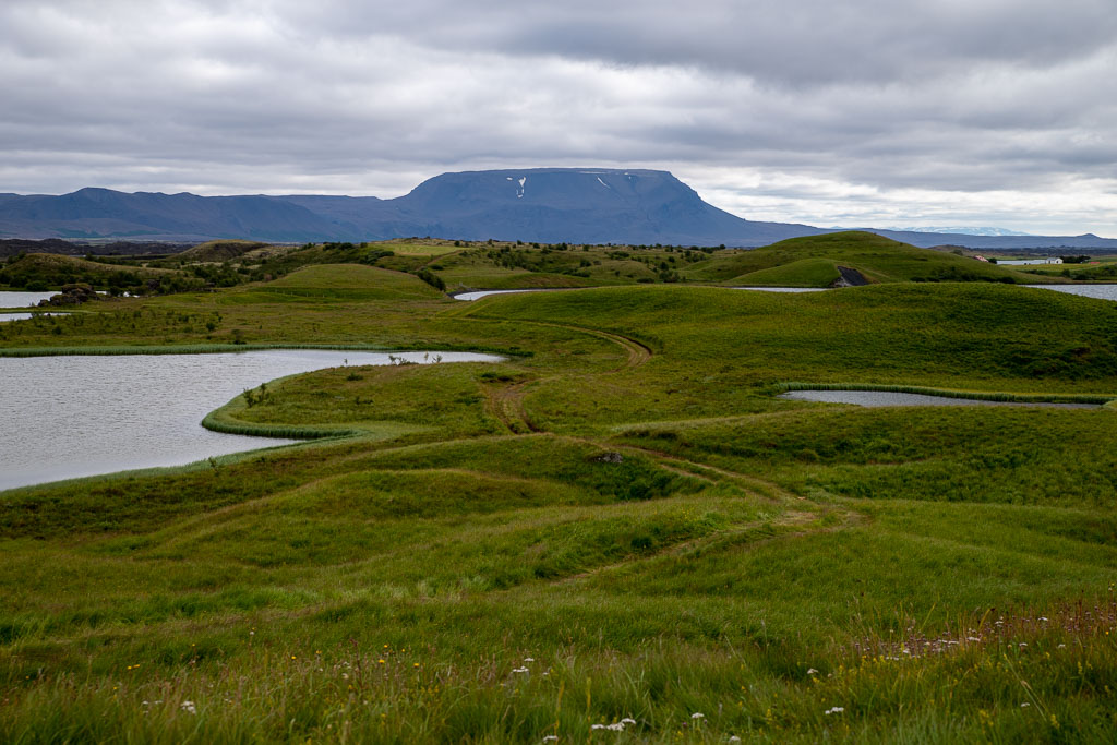Pentax K-1 / 6 Pentax K-1   6