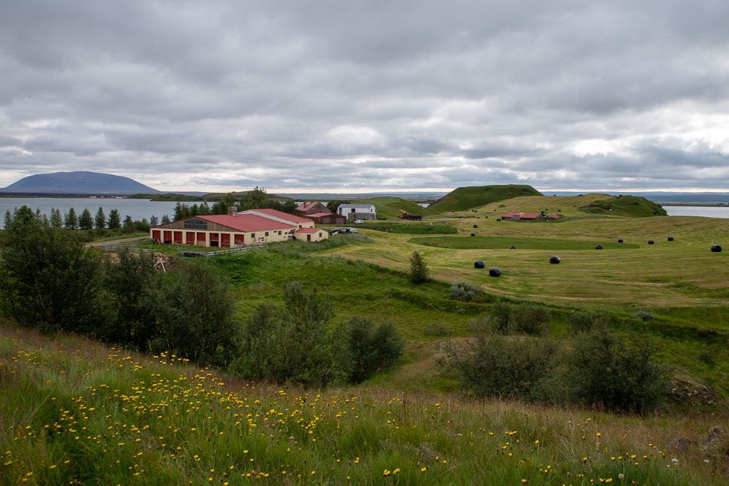 Pentax K-1 / 6 Pentax K-1   6