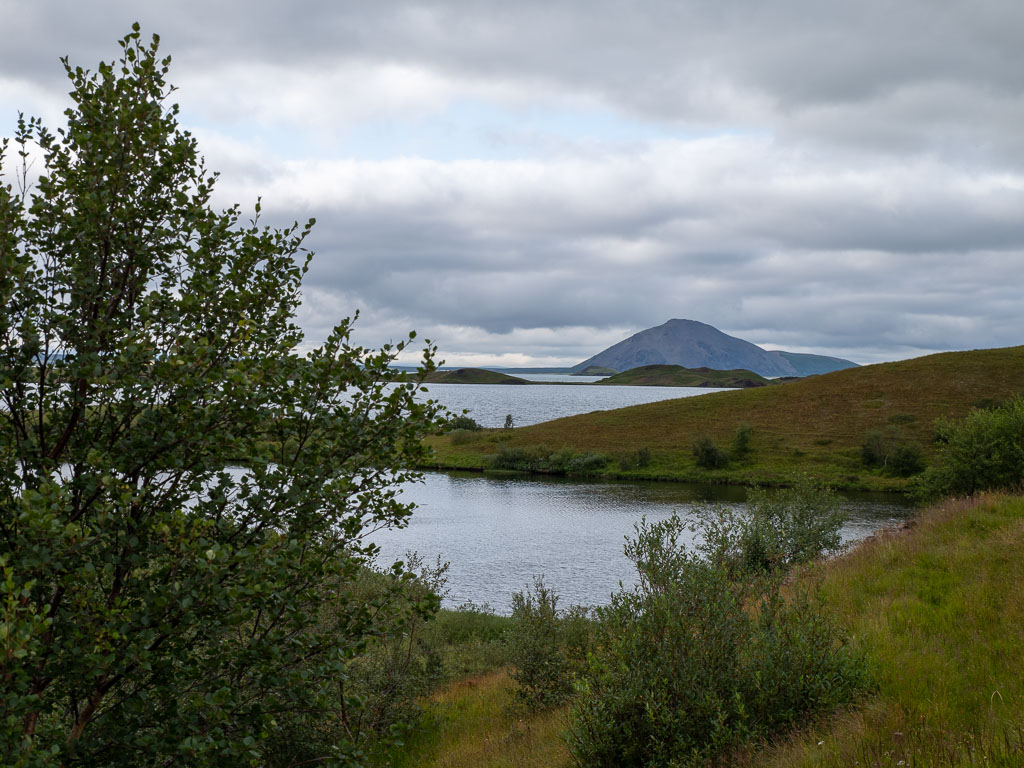 Pentax K-1 / 6 Pentax K-1   6