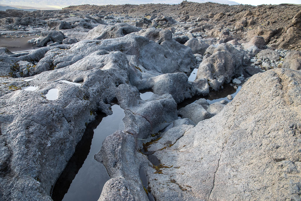 Pentax K-1 / 20 Pentax K-1   20