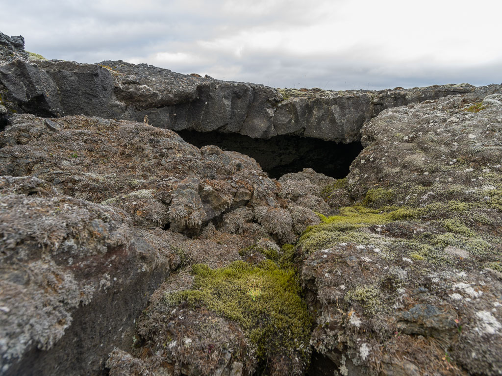 Pentax 645D / 5 Pentax 645D   5