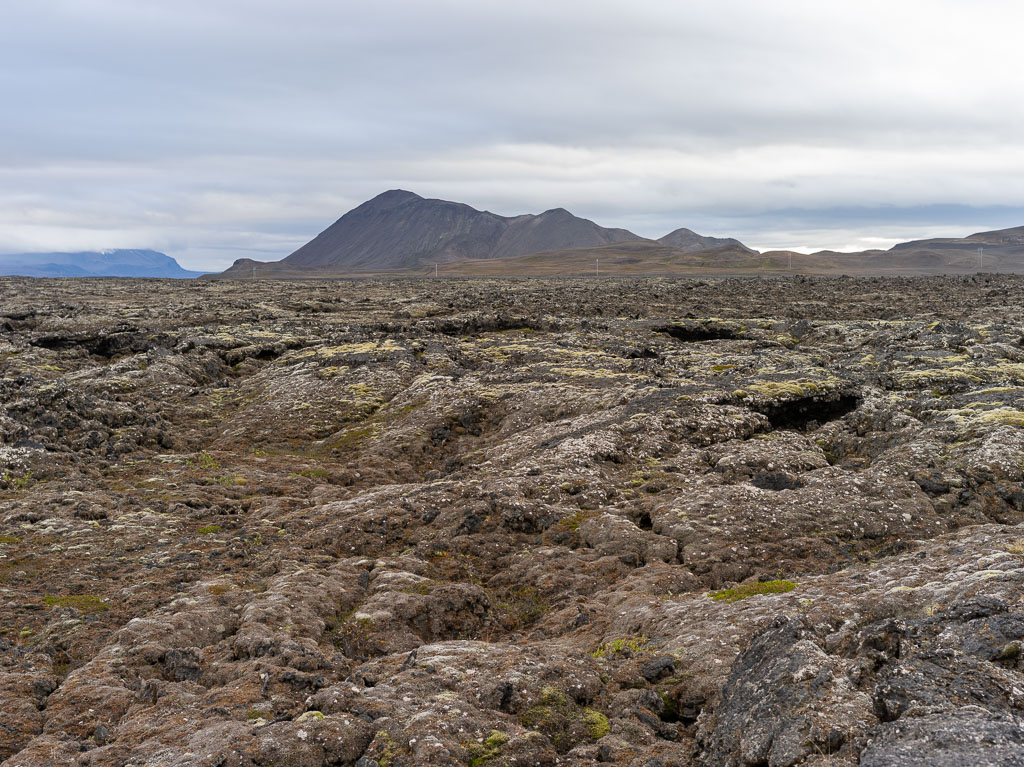 Pentax 645D / 5 Pentax 645D   5