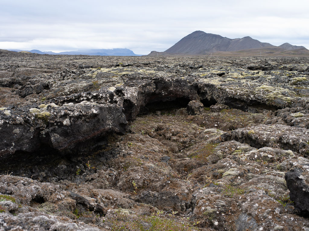 Pentax 645D / 5 Pentax 645D   5