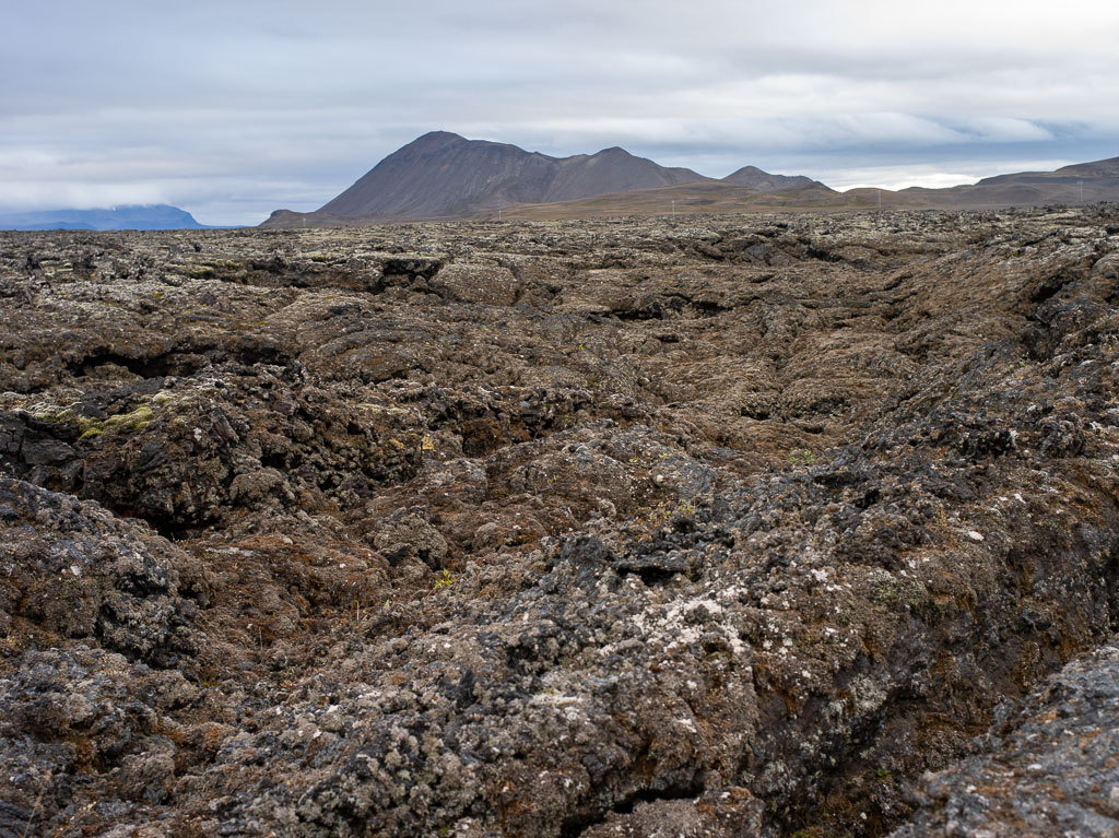 Pentax 645D / 5 Pentax 645D   5