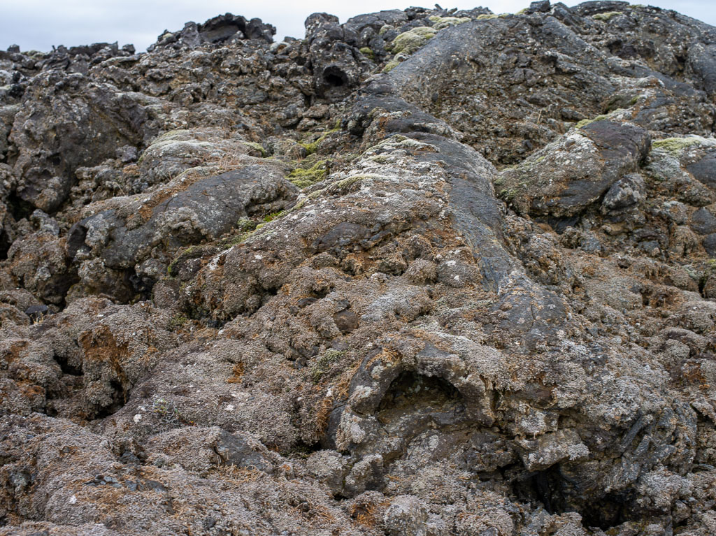 Pentax 645D / 5 Pentax 645D   5