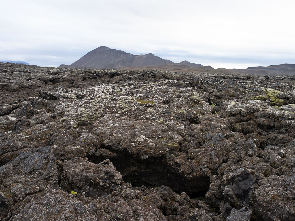 Pentax 645D / 5 Pentax 645D   5