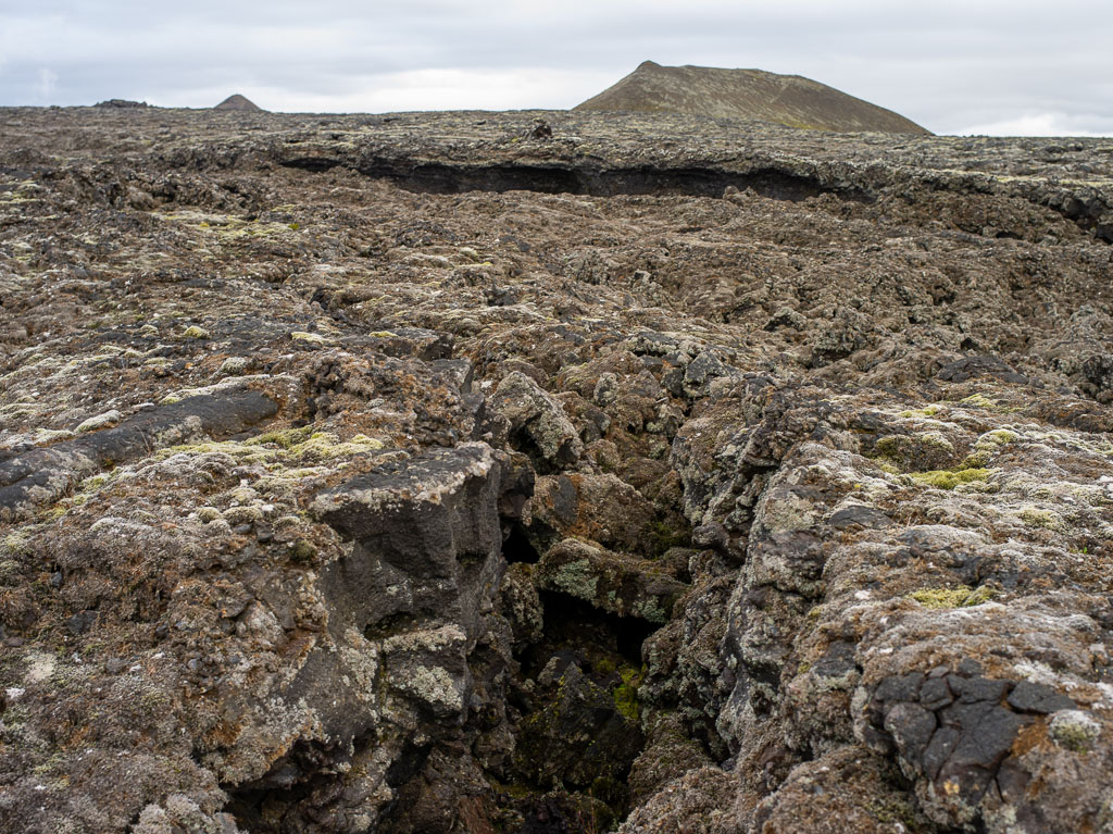 Pentax 645D / 5 Pentax 645D   5