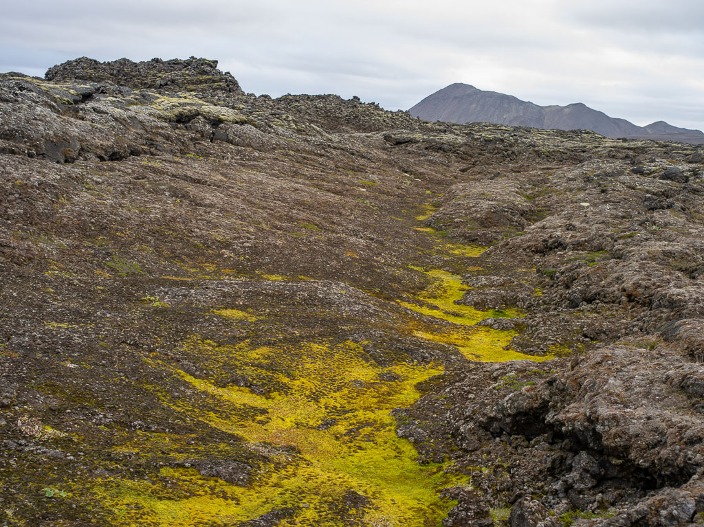 Pentax 645D / 5 Pentax 645D   5