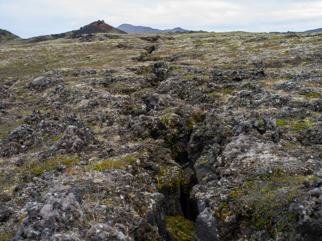 Pentax 645D / 5 Pentax 645D   5