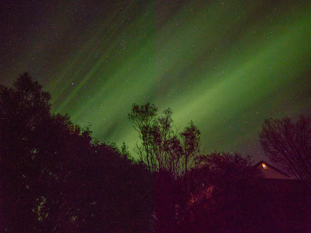 Pentax 645D / 30 Pentax 645D   30