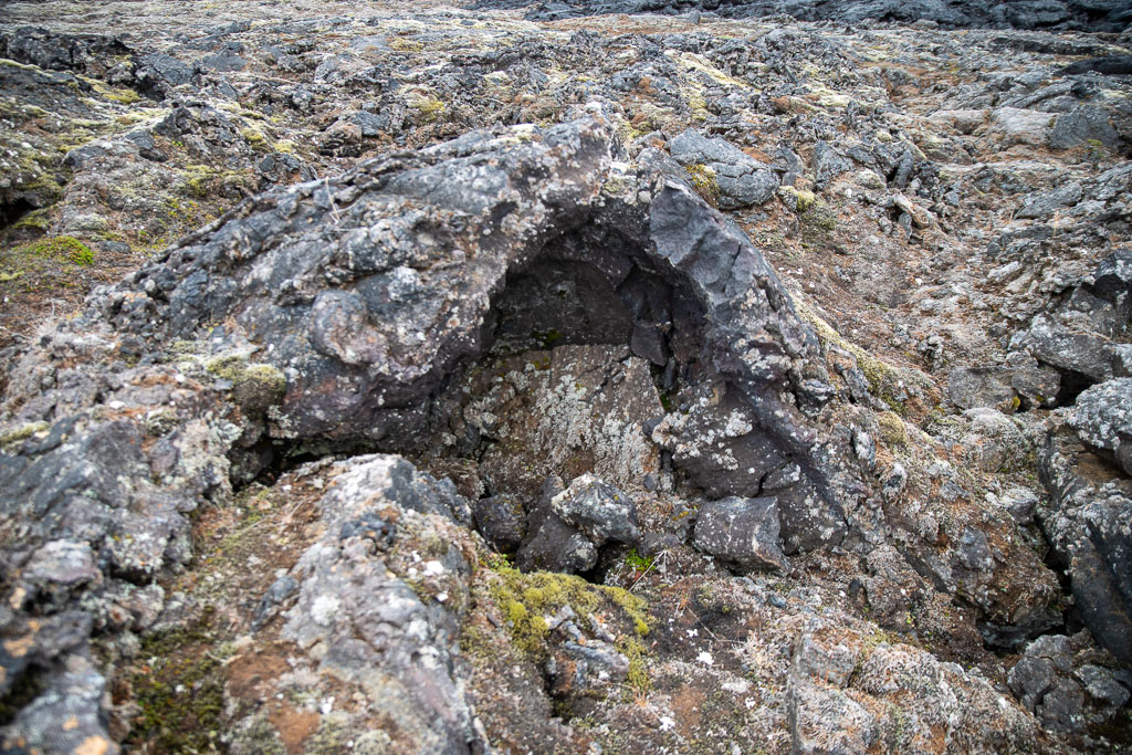 Pentax K-1 / 5 Pentax K-1   5