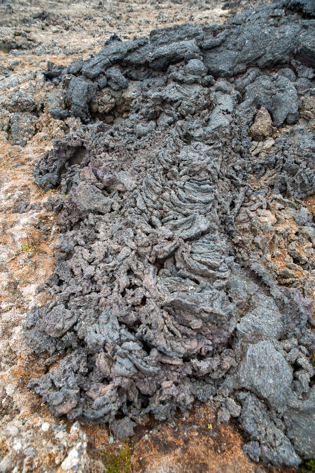 Pentax K-1 / 5 Pentax K-1   5