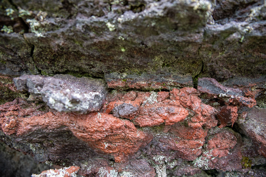 Pentax K-1 / 5 Pentax K-1   5