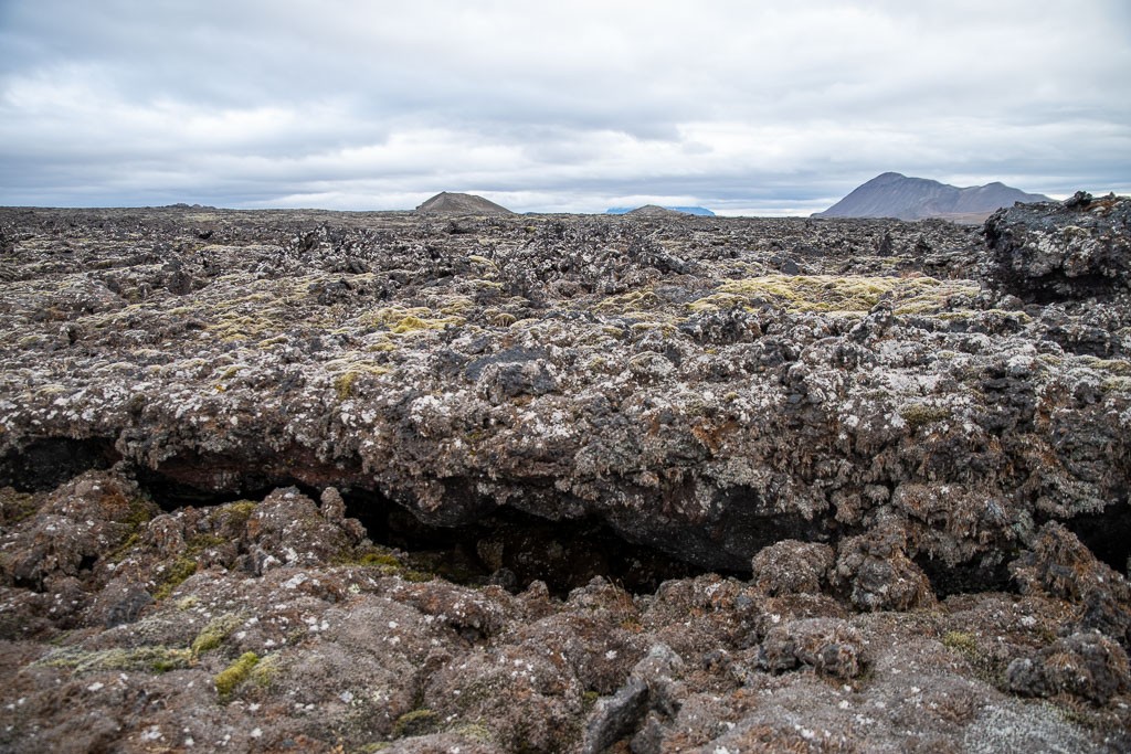 Pentax K-1 / 5 Pentax K-1   5