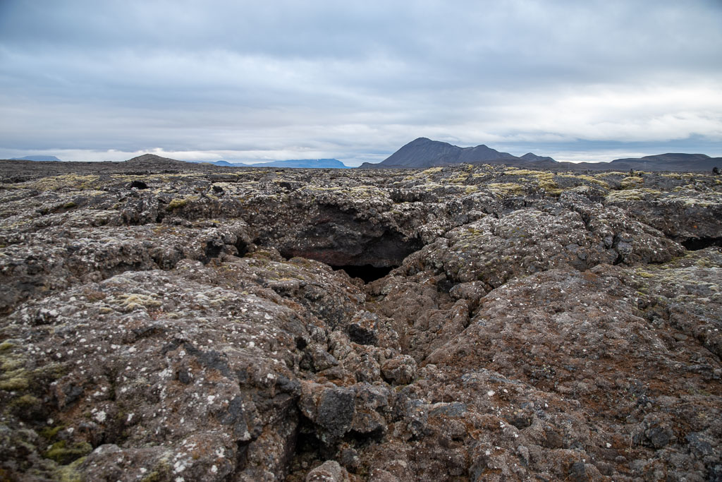 Pentax K-1 / 5 Pentax K-1   5