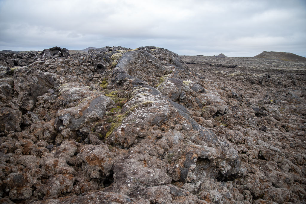 Pentax K-1 / 5 Pentax K-1   5