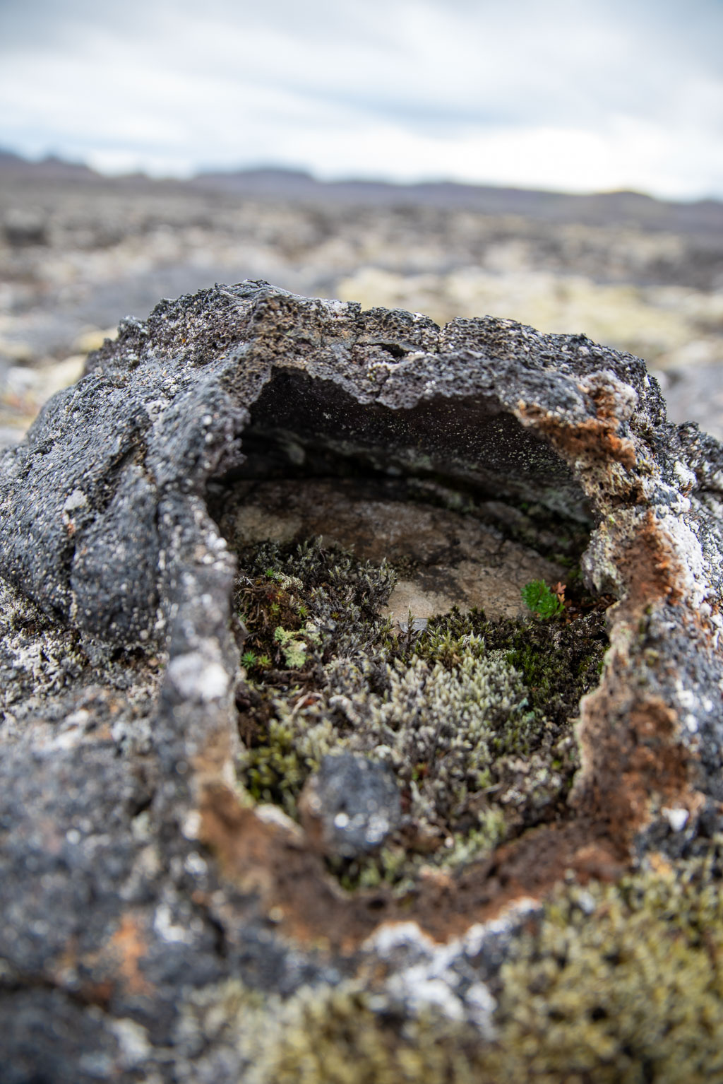 Pentax K-1 / 5 Pentax K-1   5