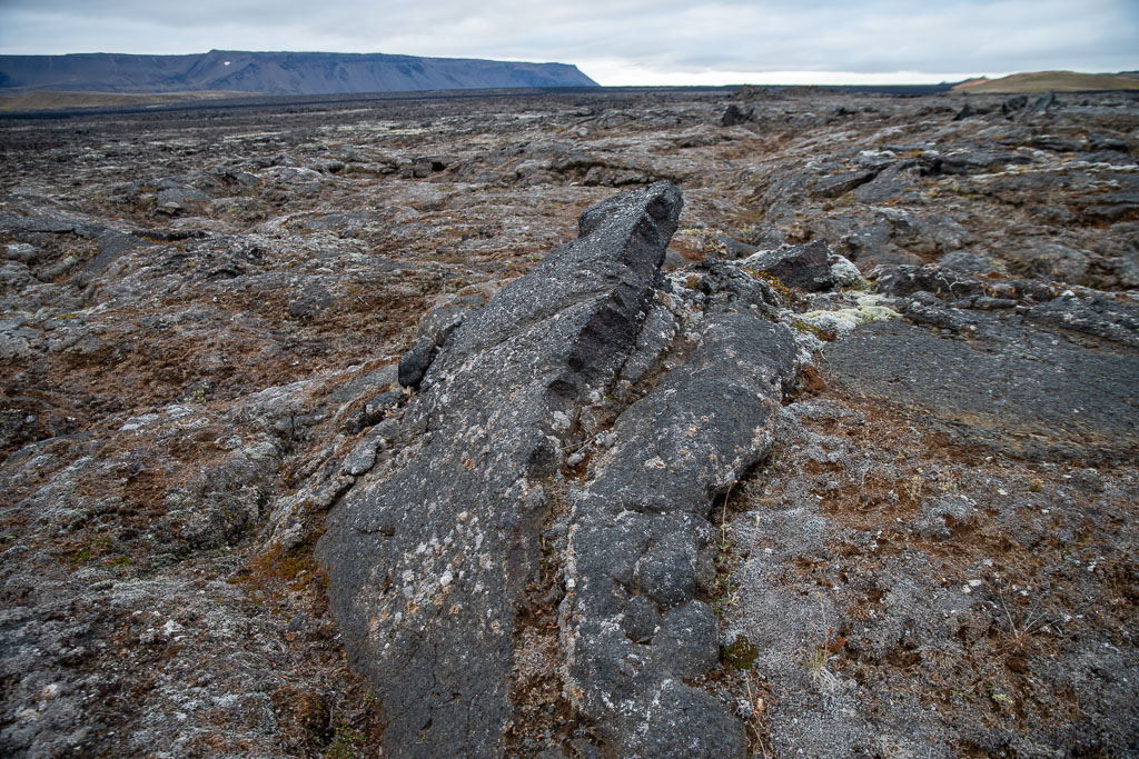 Pentax K-1 / 5 Pentax K-1   5