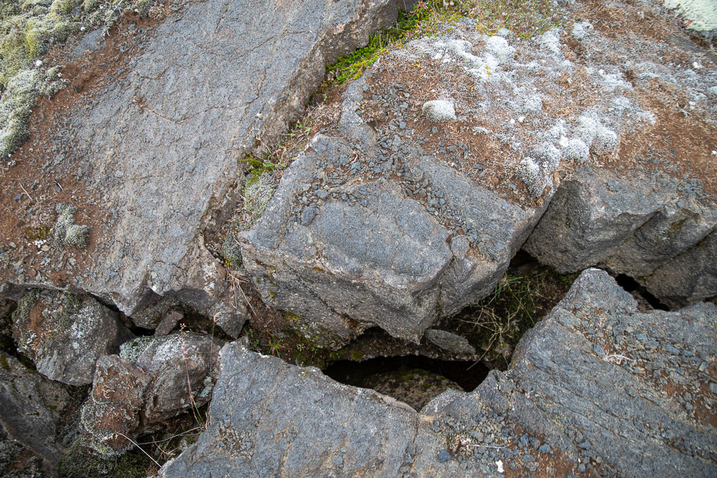Pentax K-1 / 5 Pentax K-1   5