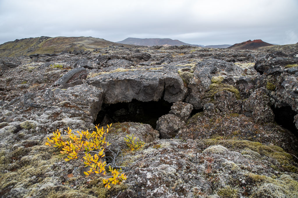 Pentax K-1 / 5 Pentax K-1   5