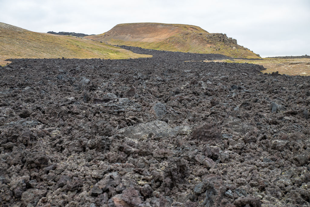 Pentax K-1 / 5 Pentax K-1   5