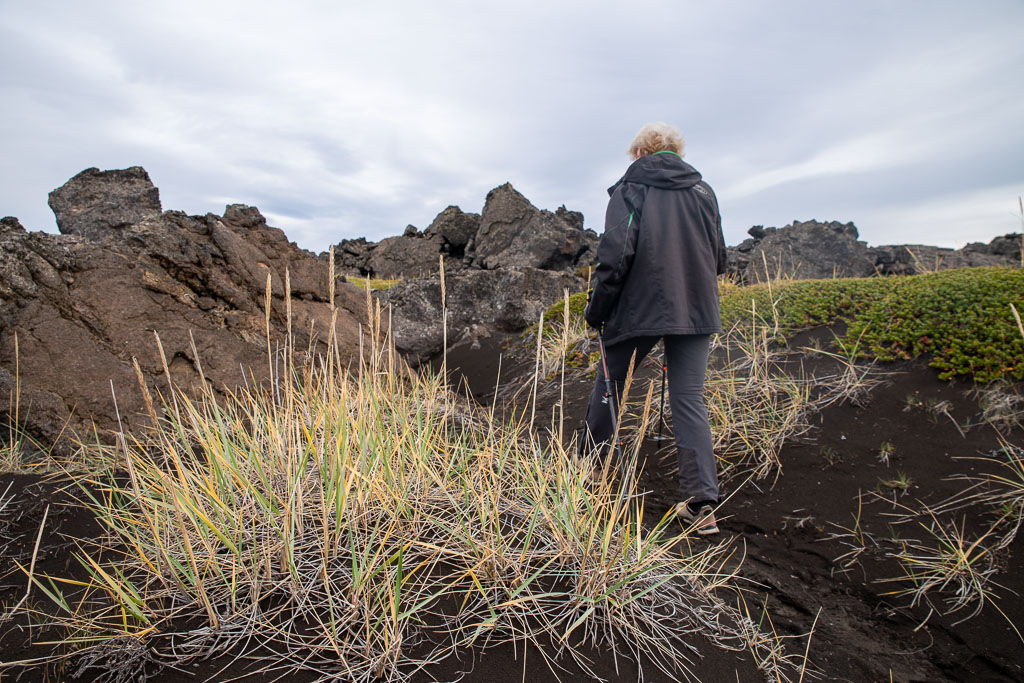 Pentax K-1 / 21 Pentax K-1   21