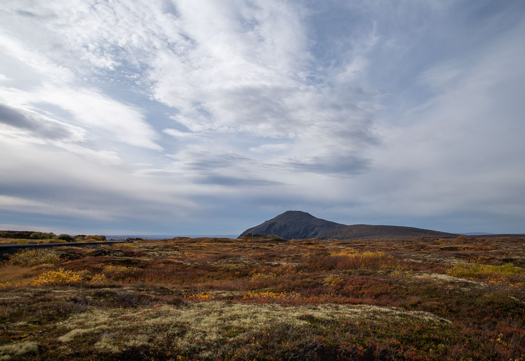 Pentax K-1 / 21 Pentax K-1   21