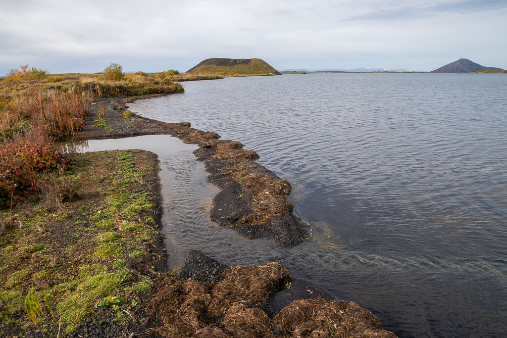 Pentax K-1 / 21 Pentax K-1   21