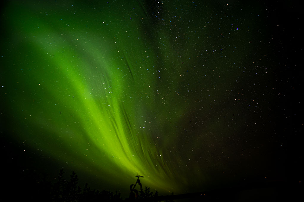 Pentax K-1 / 30 Pentax K-1   30