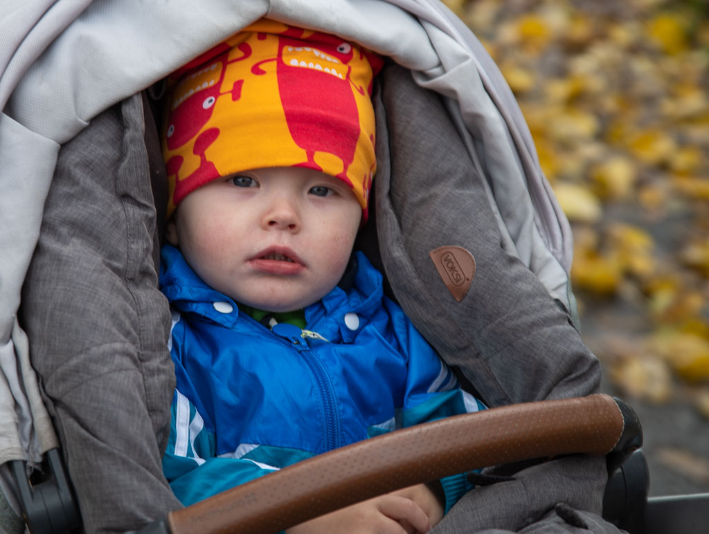 Pentax K-1 / 18 Pentax K-1   18