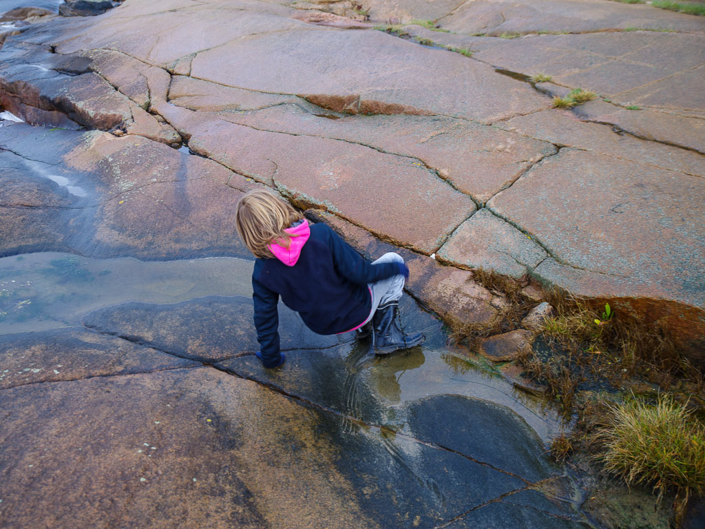 Pentax K-1 / 27 Pentax K-1   27