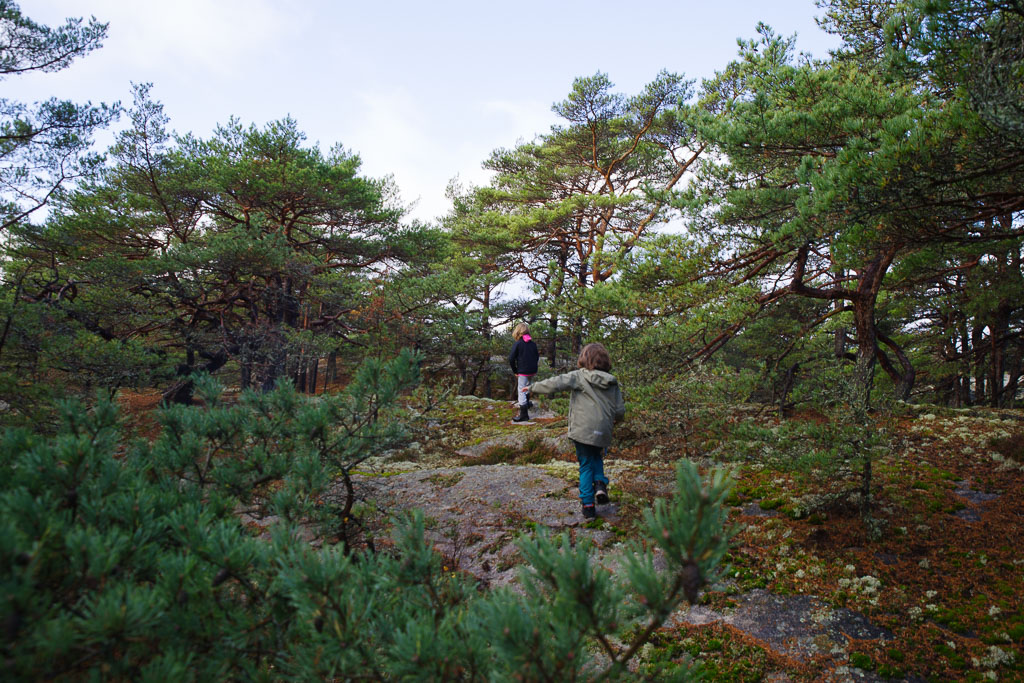 Pentax K-1 / 27 Pentax K-1   27