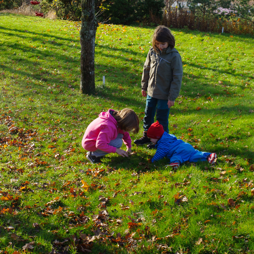 Pentax K-1 / 27 Pentax K-1   27