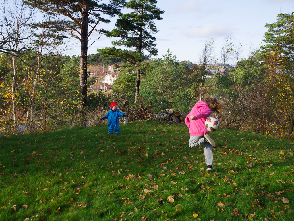 Pentax K-1 / 27 Pentax K-1   27