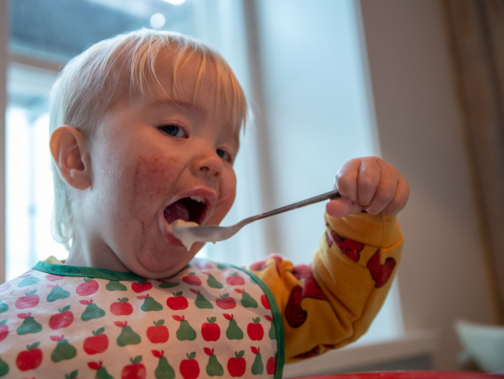 Pentax K-1 / 31 Pentax K-1   31