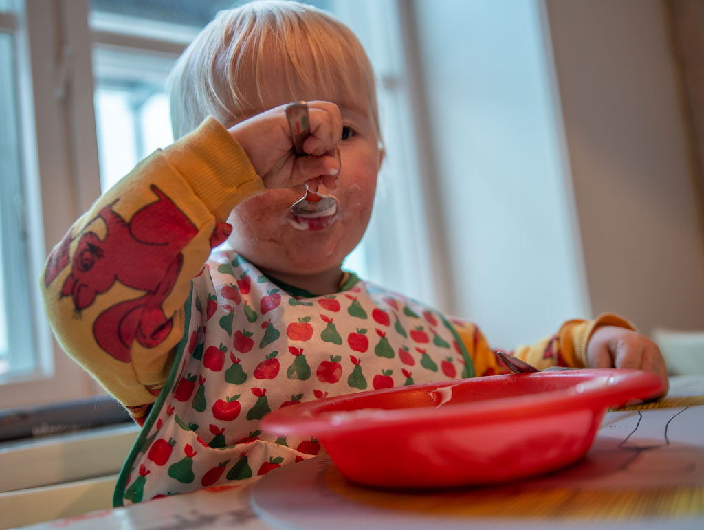 Pentax K-1 / 31 Pentax K-1   31