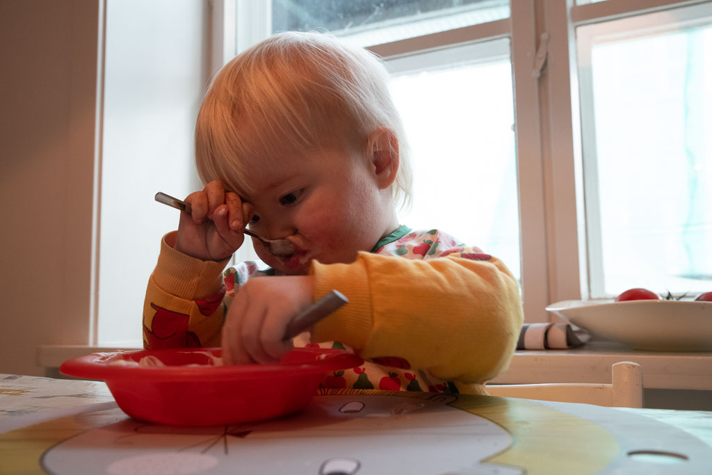 Pentax K-1 / 31 Pentax K-1   31