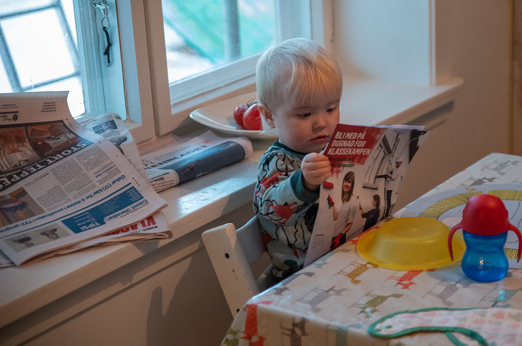 Pentax K-1 / 31 Pentax K-1   31