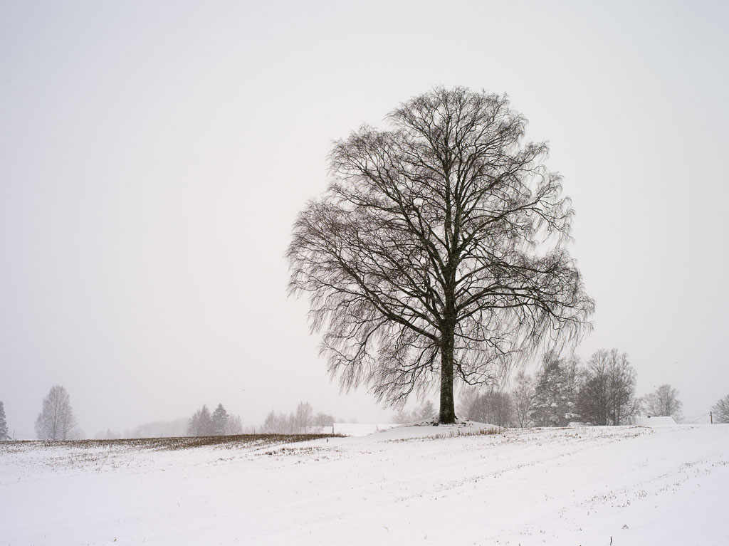 Pentax 645D / 28 Pentax 645D   28