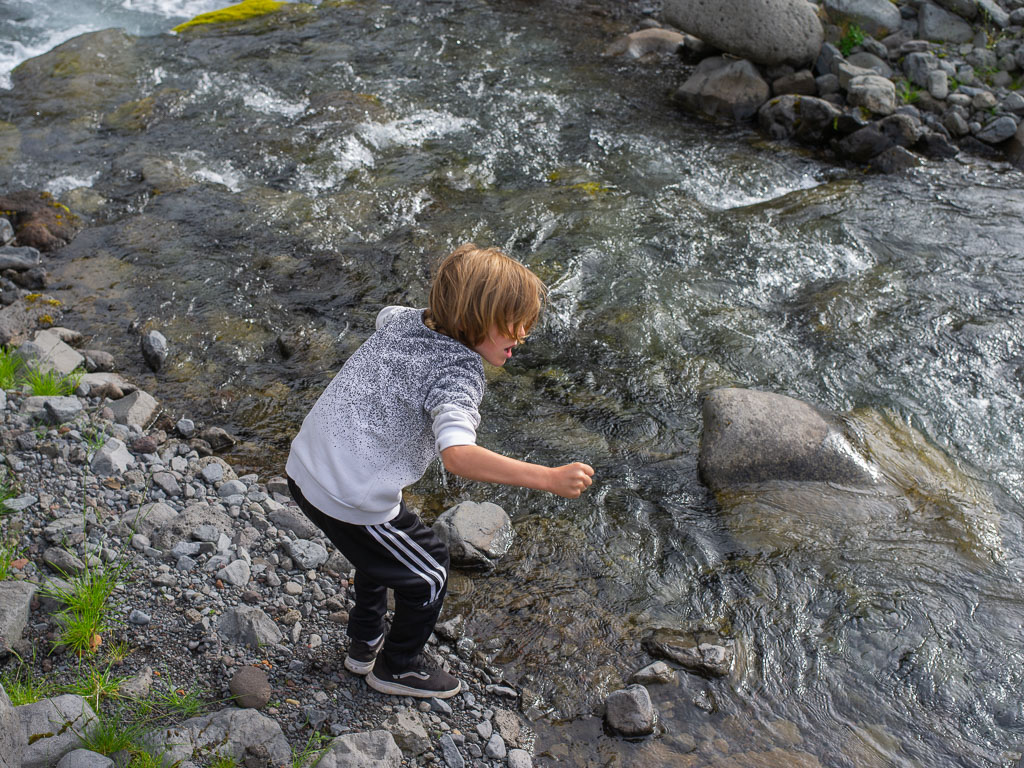 Pentax 645D / 15 Pentax 645D   15