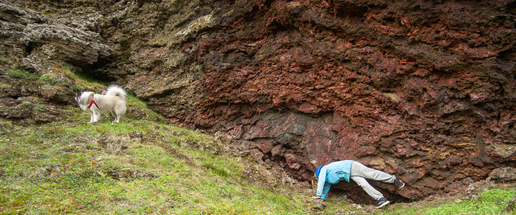 Pentax 645D / 21 Pentax 645D   21