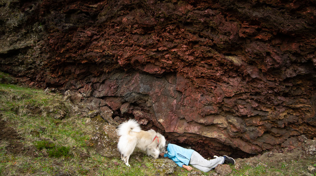 Pentax 645D / 21 Pentax 645D   21