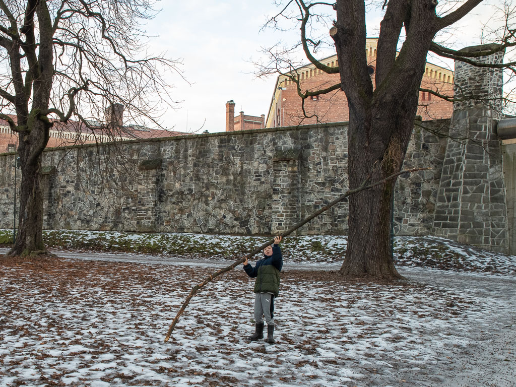 Pentax K-1 / 6 Pentax K-1   6