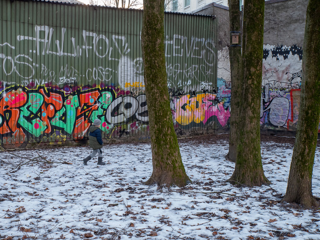 Pentax K-1 / 6 Pentax K-1   6