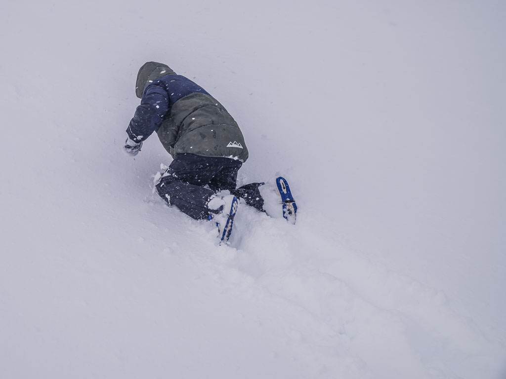 Pentax K-1 / 17 Pentax K-1   17