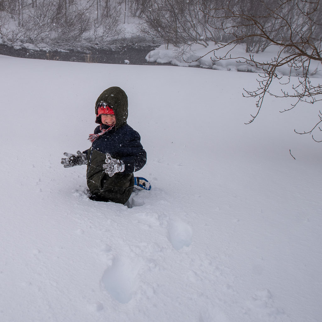 Pentax K-1 / 17 Pentax K-1   17