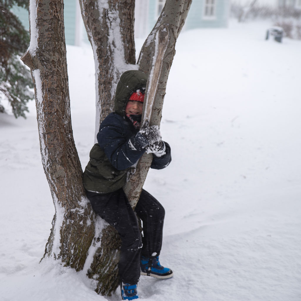Pentax K-1 / 17 Pentax K-1   17
