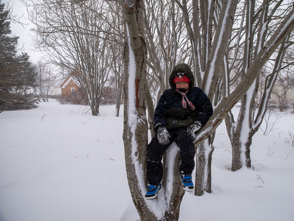 Pentax K-1 / 17 Pentax K-1   17