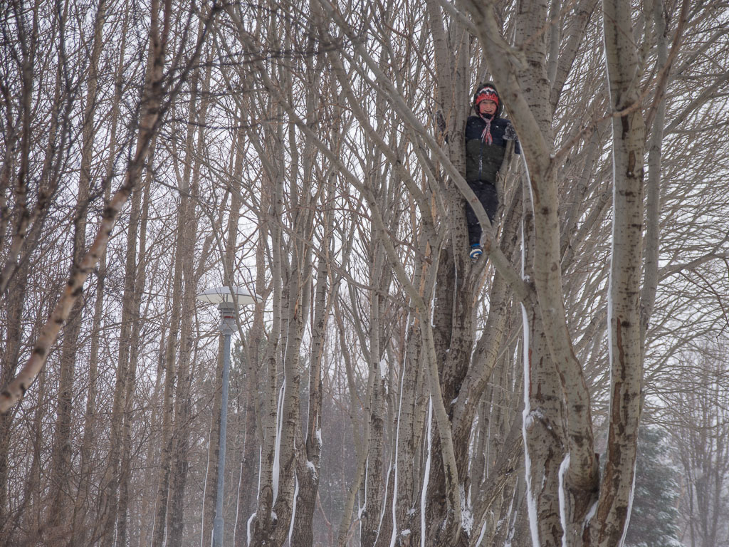 Pentax K-1 / 17 Pentax K-1   17